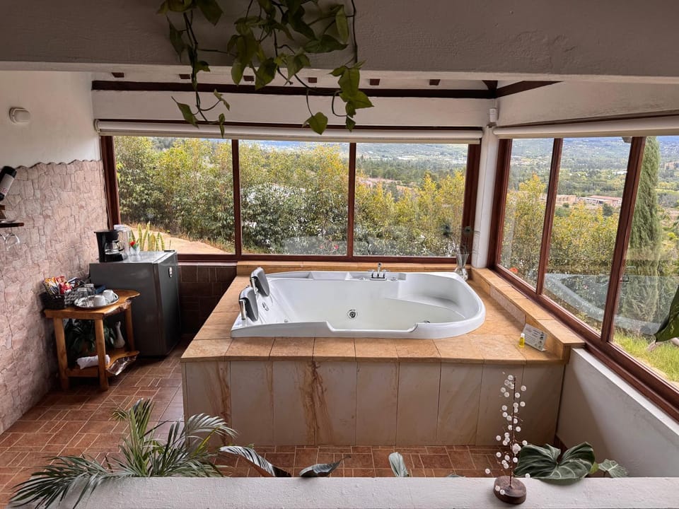 Natural landscape, Hot Tub, Garden view