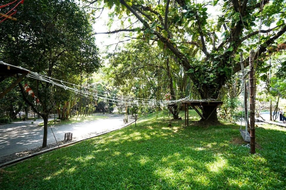 Area and facilities