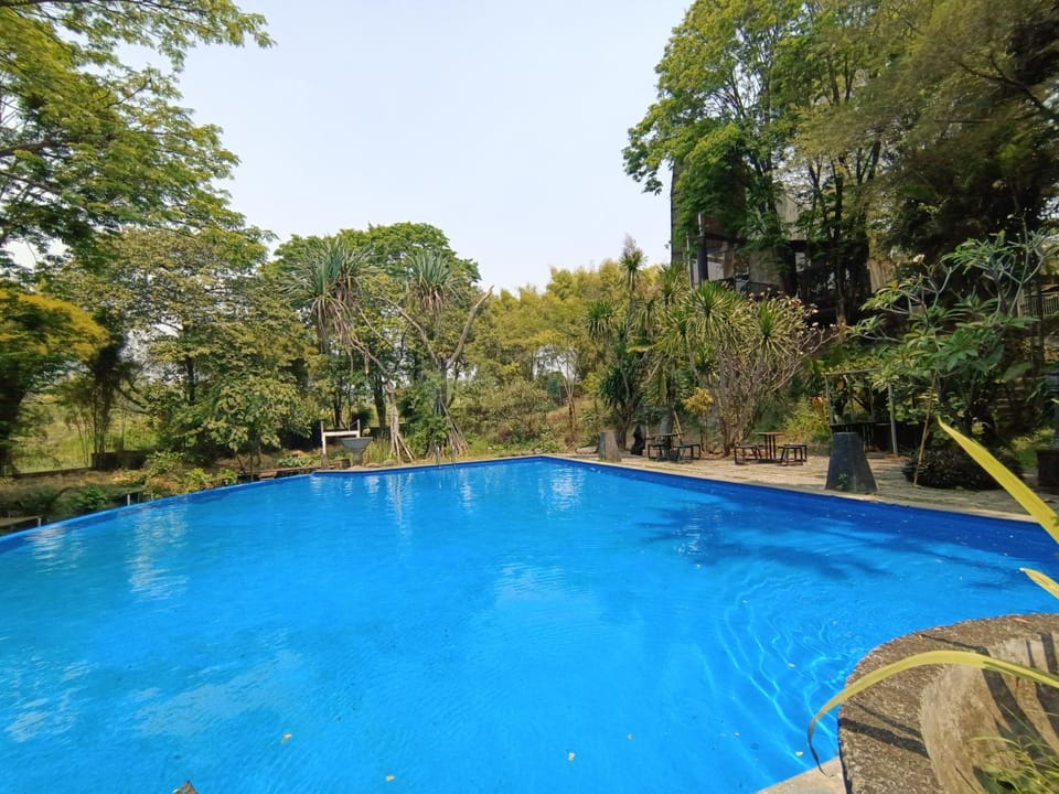 Pool view, Swimming pool