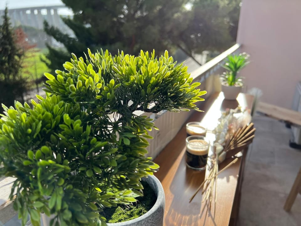 LE PARADIS APPARTEMENT Apartment in Provence-Alpes-Côte d'Azur