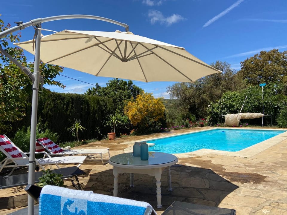 Garden, Garden view, Swimming pool, sunbed
