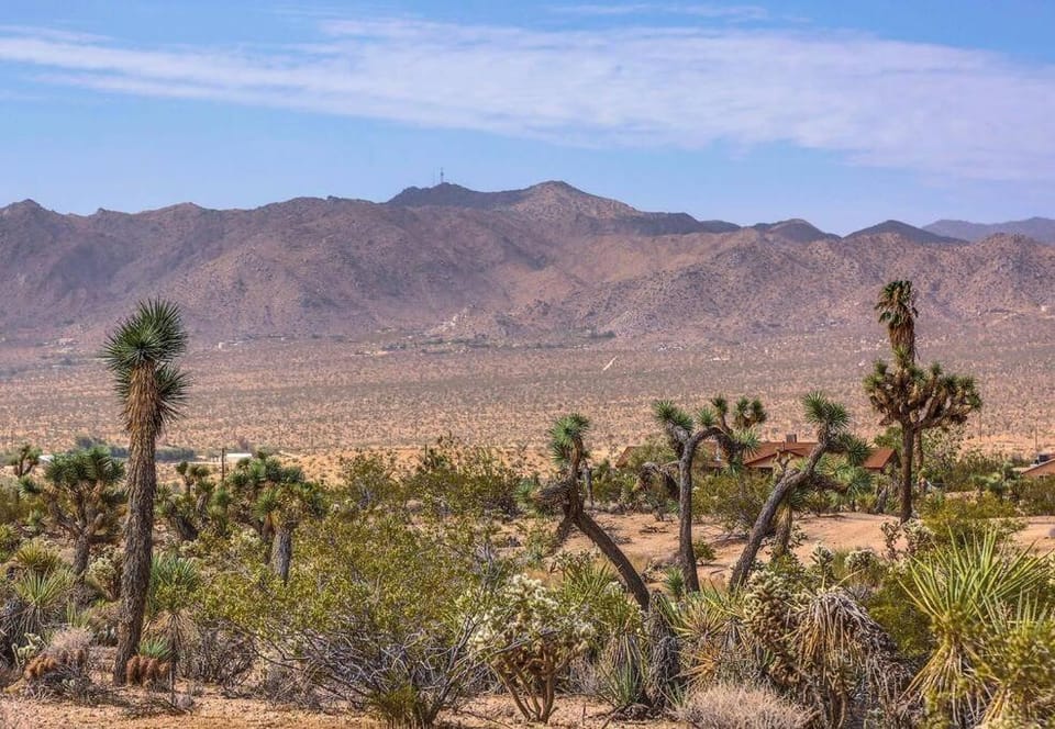 JT Cottage House in Yucca Valley