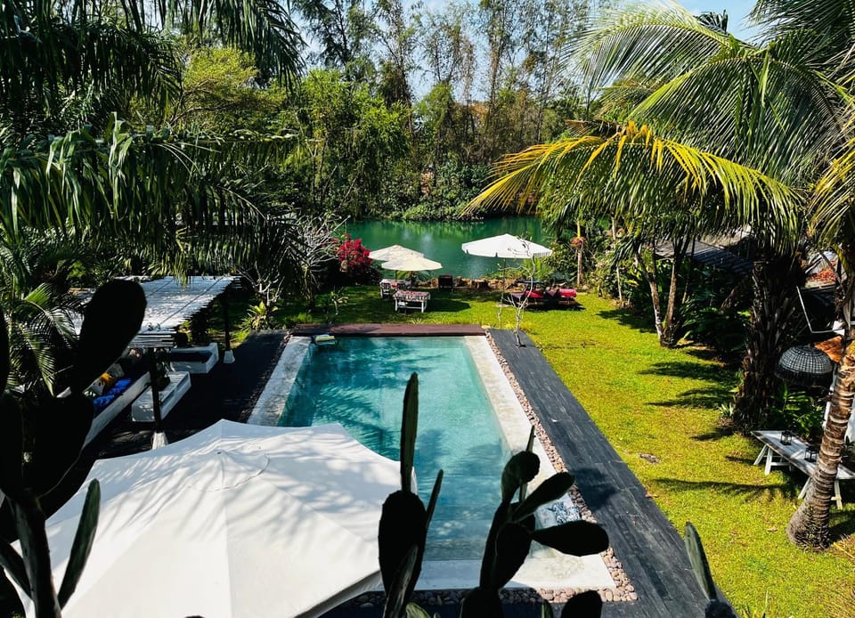 Garden, Garden view, Pool view, Swimming pool