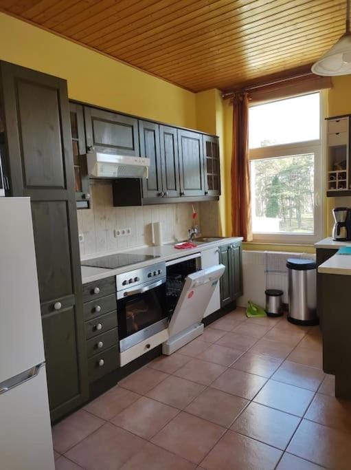 Ferienwohnung Mathilda mit Meeresrauschen Apartment in Lubmin