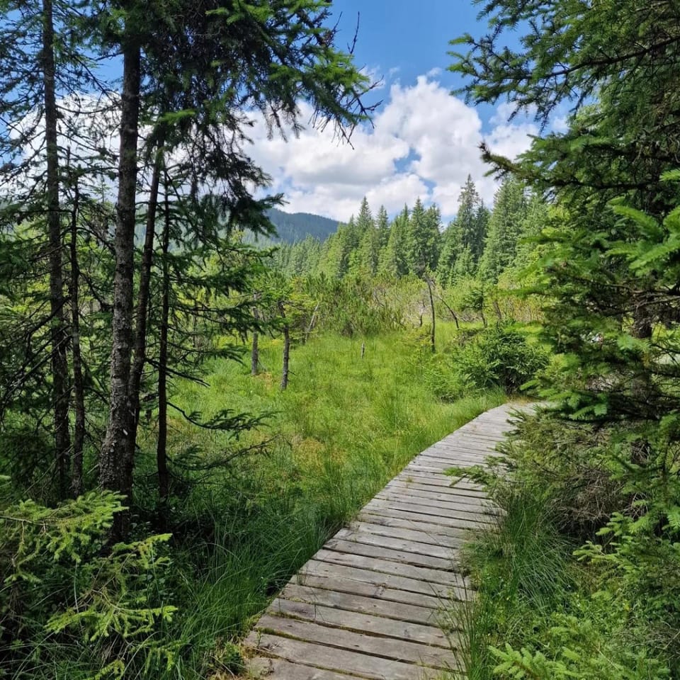 Nearby landmark, Natural landscape