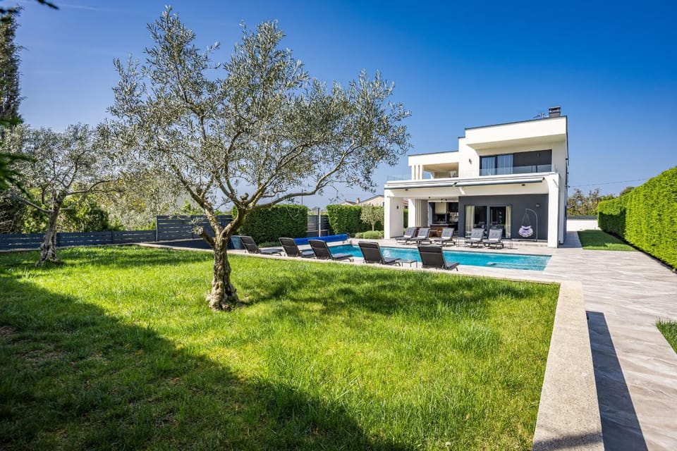 Patio, Garden, Garden view