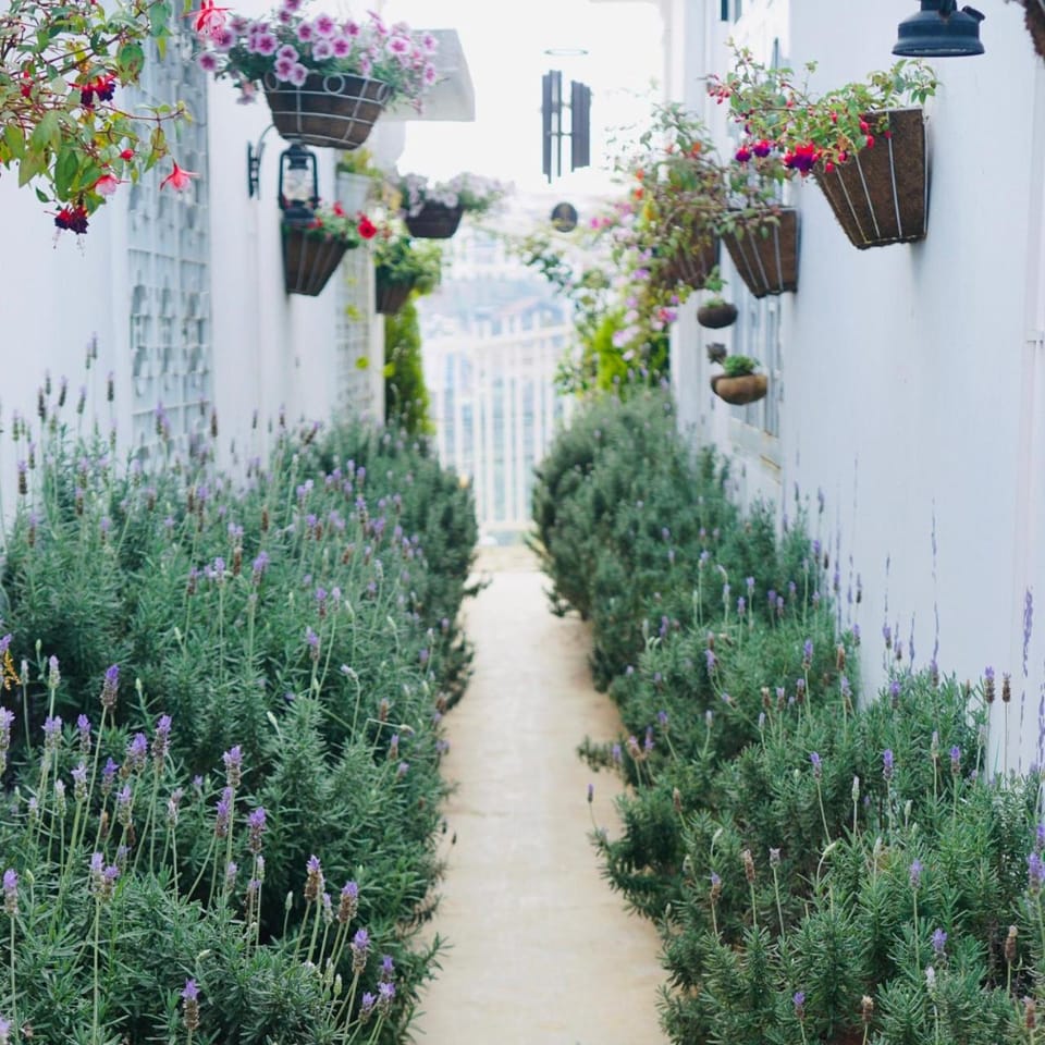 Day, Garden, Garden view