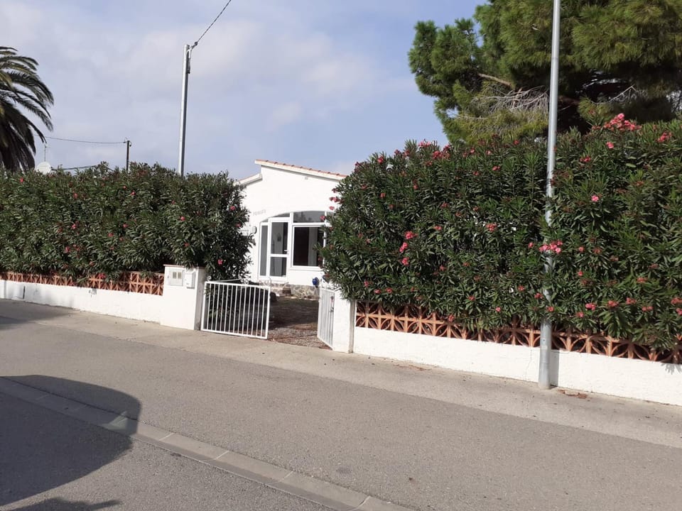 Garden, Garden view