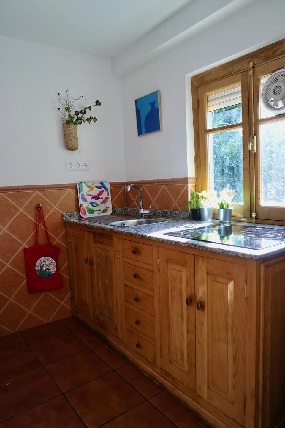 Kitchen or kitchenette, stove, kitchen