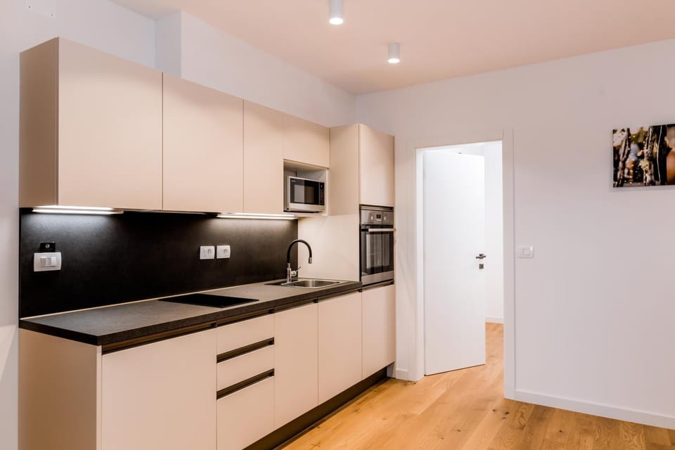 Kitchen or kitchenette, minibar, oven, pet friendly