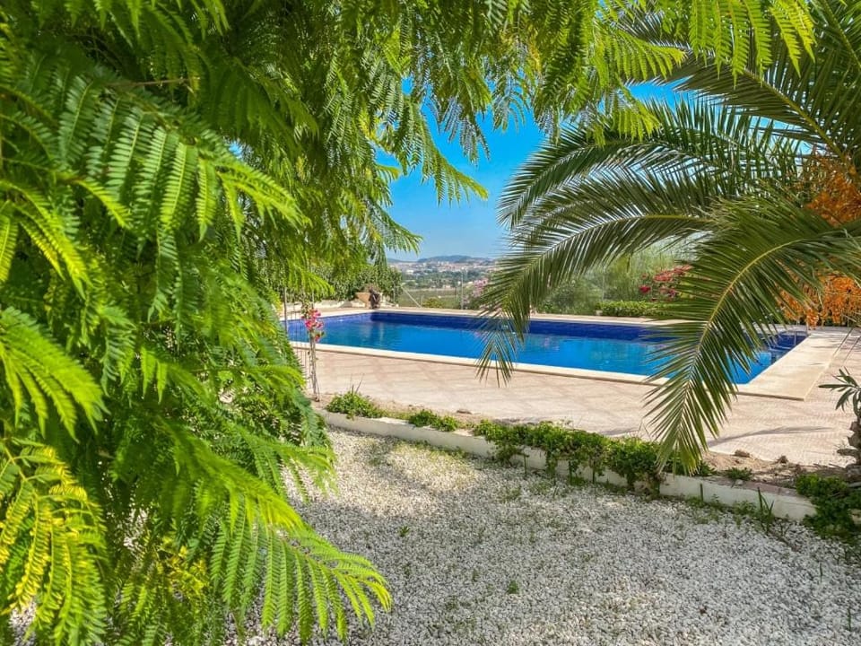 Day, Natural landscape, Garden, Garden view, Pool view, Swimming pool, sunbed
