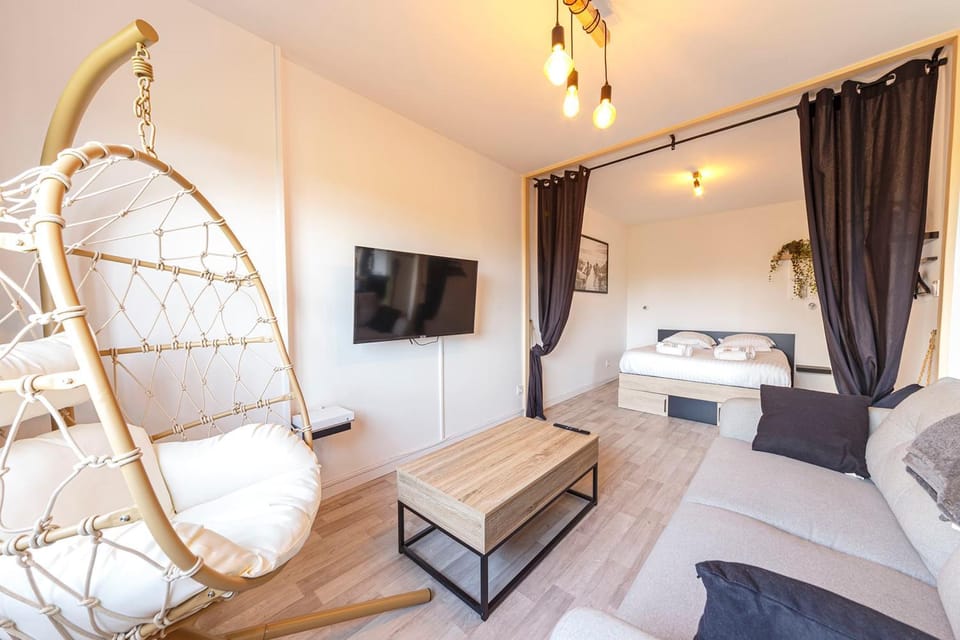 L'oriole - Wifi - Ascenseur Apartment in Angers