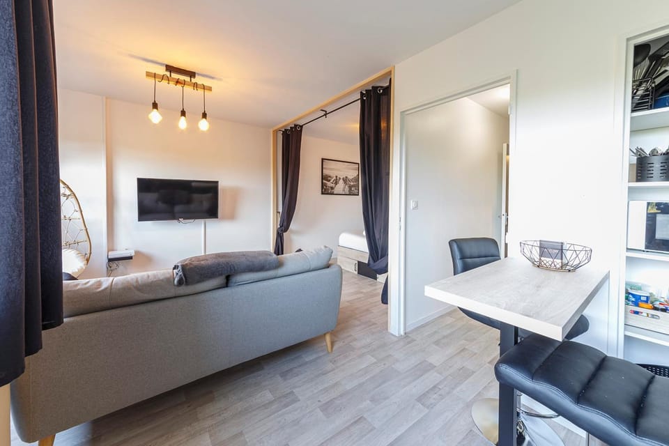 L'oriole - Wifi - Ascenseur Apartment in Angers