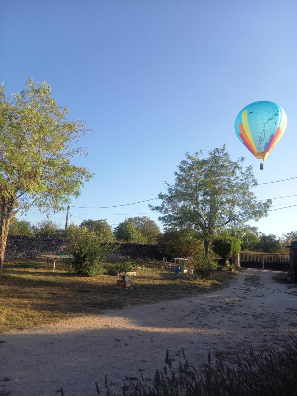 View (from property/room), Animals, Landmark view