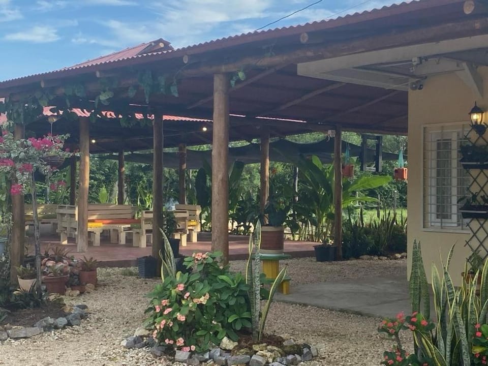 Garden view