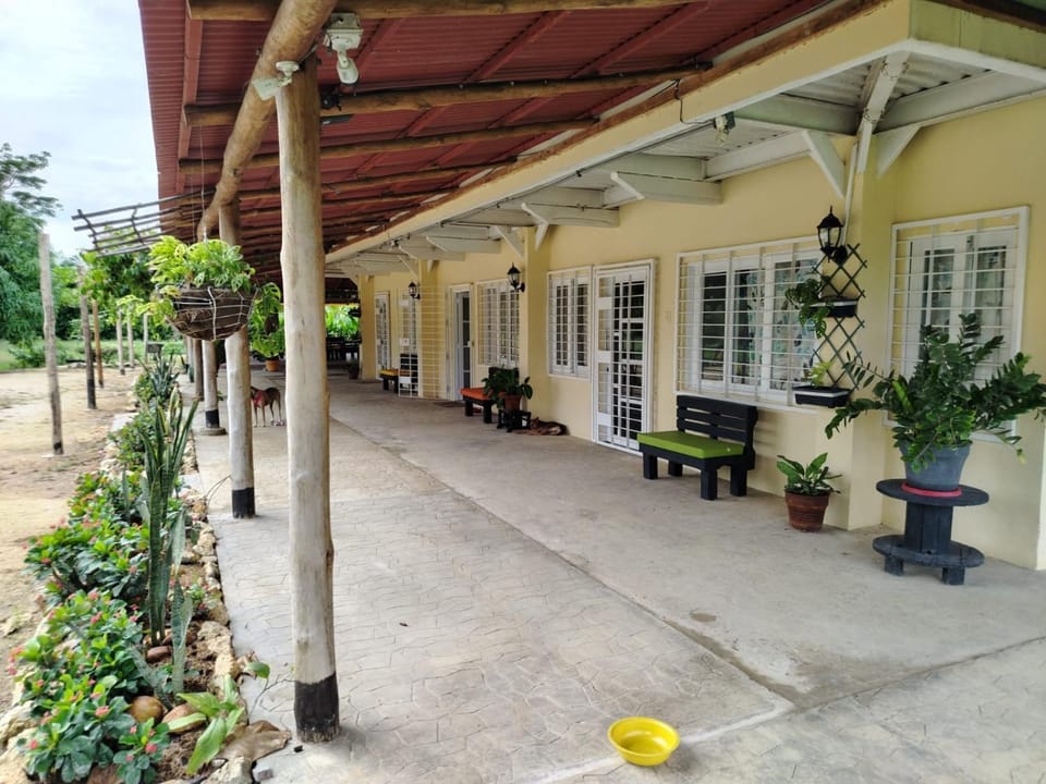 Cabañas Paulamar-Apto 3- Tolu Apartment in Sucre, Colombia