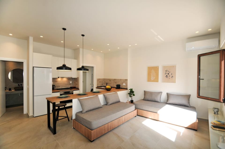 Kitchen or kitchenette, Living room, Seating area, Dining area, pet friendly, air conditioner