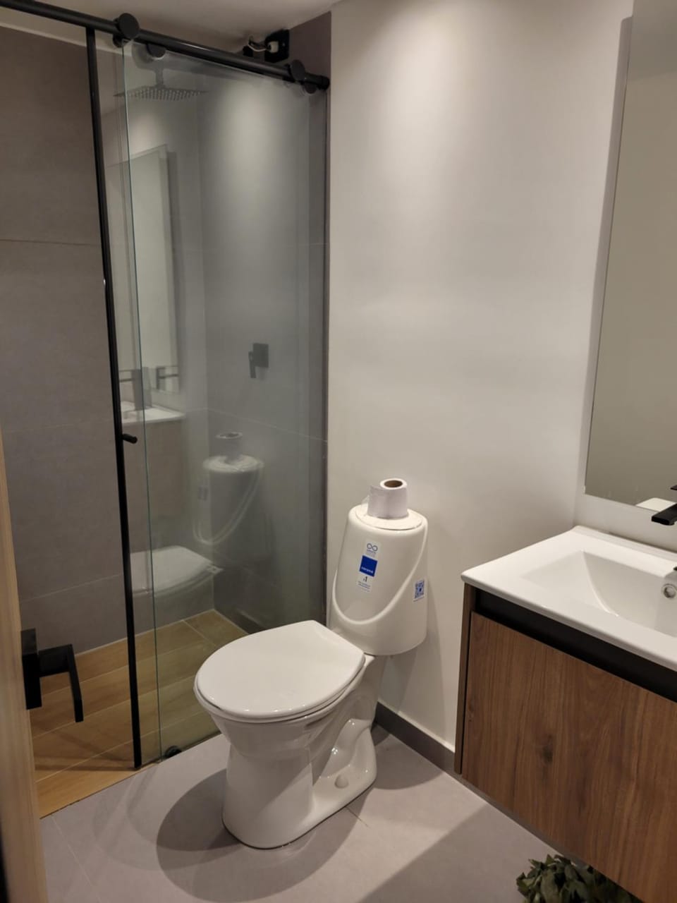 Shower, Toilet, Bathroom