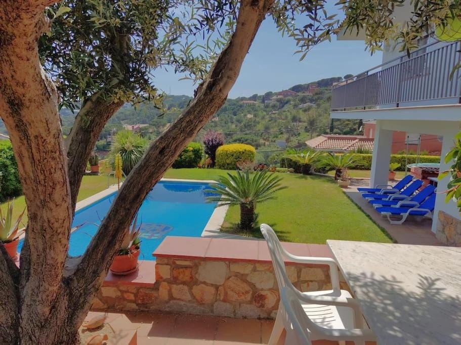 Garden, Swimming pool, sunbed