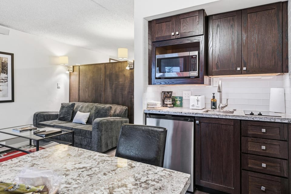 Lift House Lodge, Pet Friendly, Premium Studio Condo House in Vail