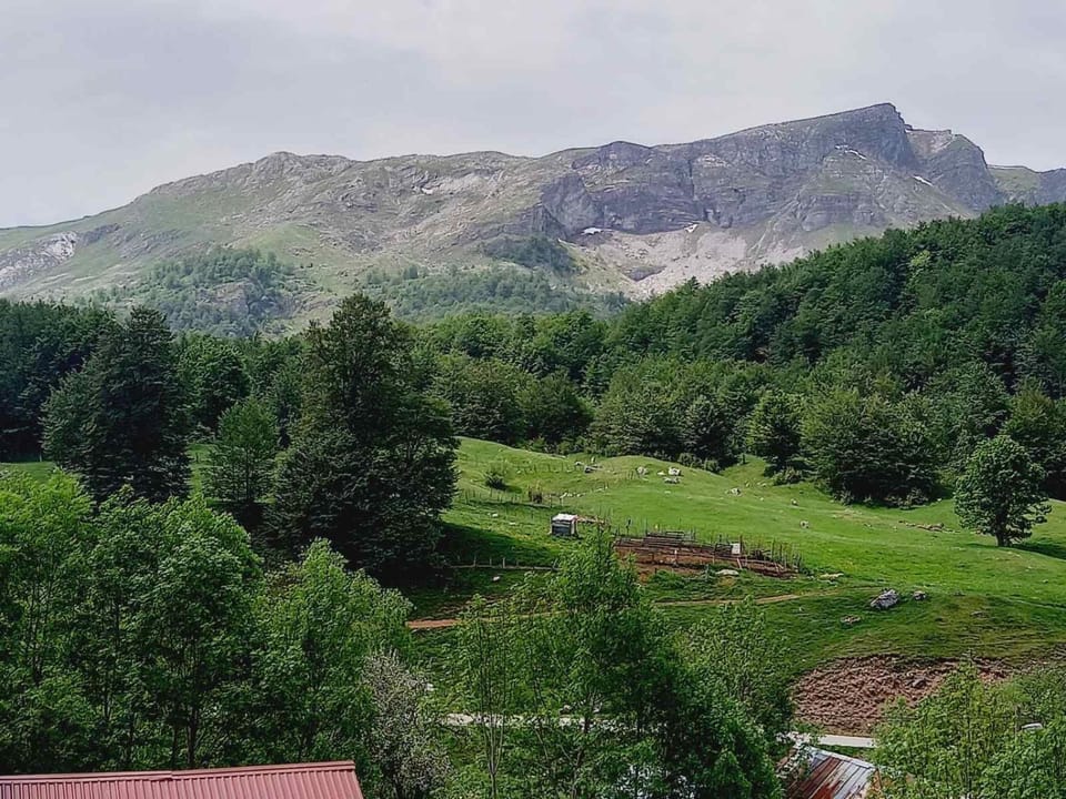 Mountain view