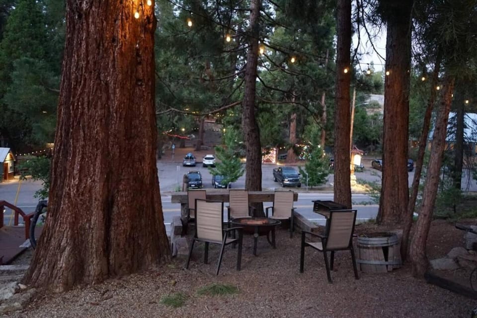 Bear Cave- Pet Friendly Suite in Shaver Lake House in Shaver Lake