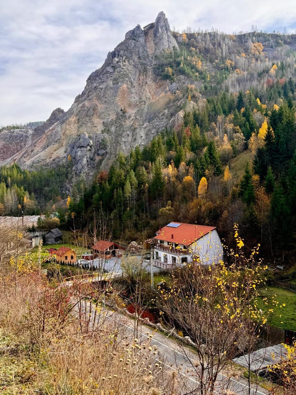 Pensiunea Cheile Șugăului Farm Stay in Romania