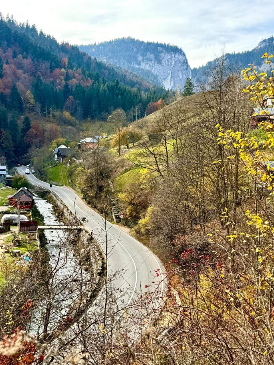 Pensiunea Cheile Șugăului Farm Stay in Romania
