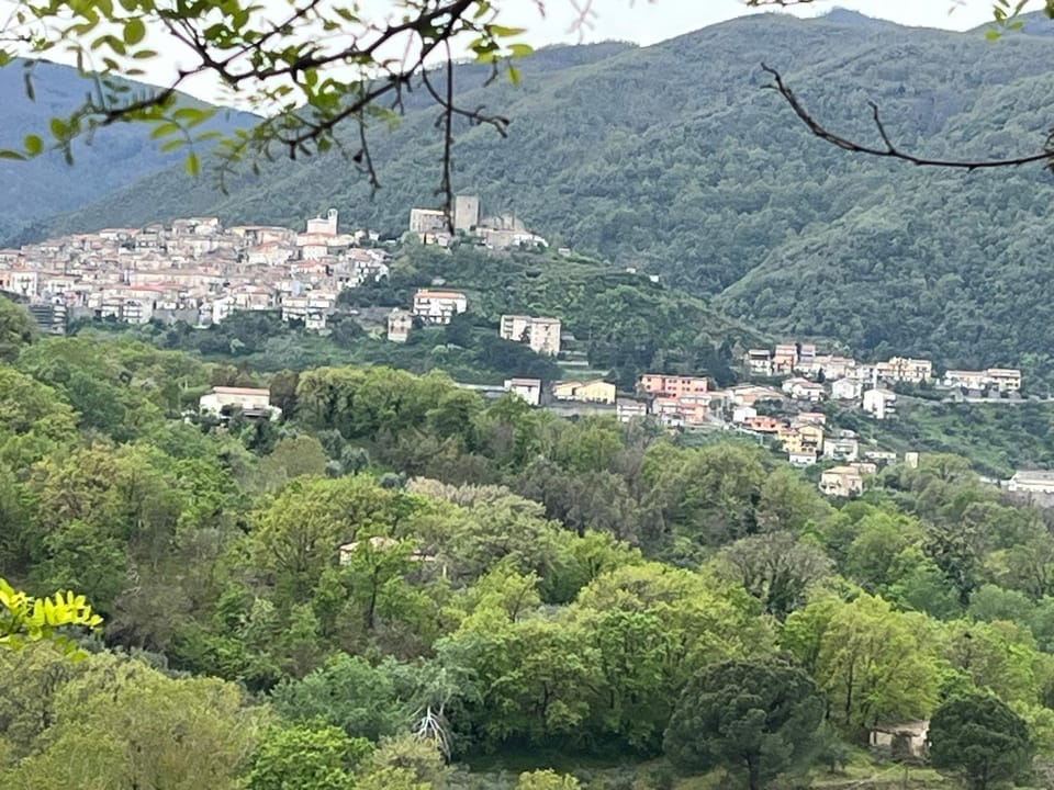 B&B MALVETUM Bed and Breakfast in Calabria
