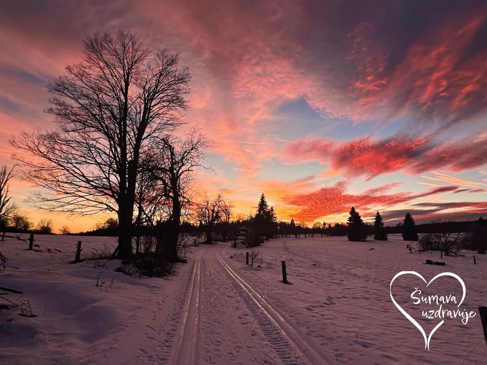 Day, Winter, Sunset