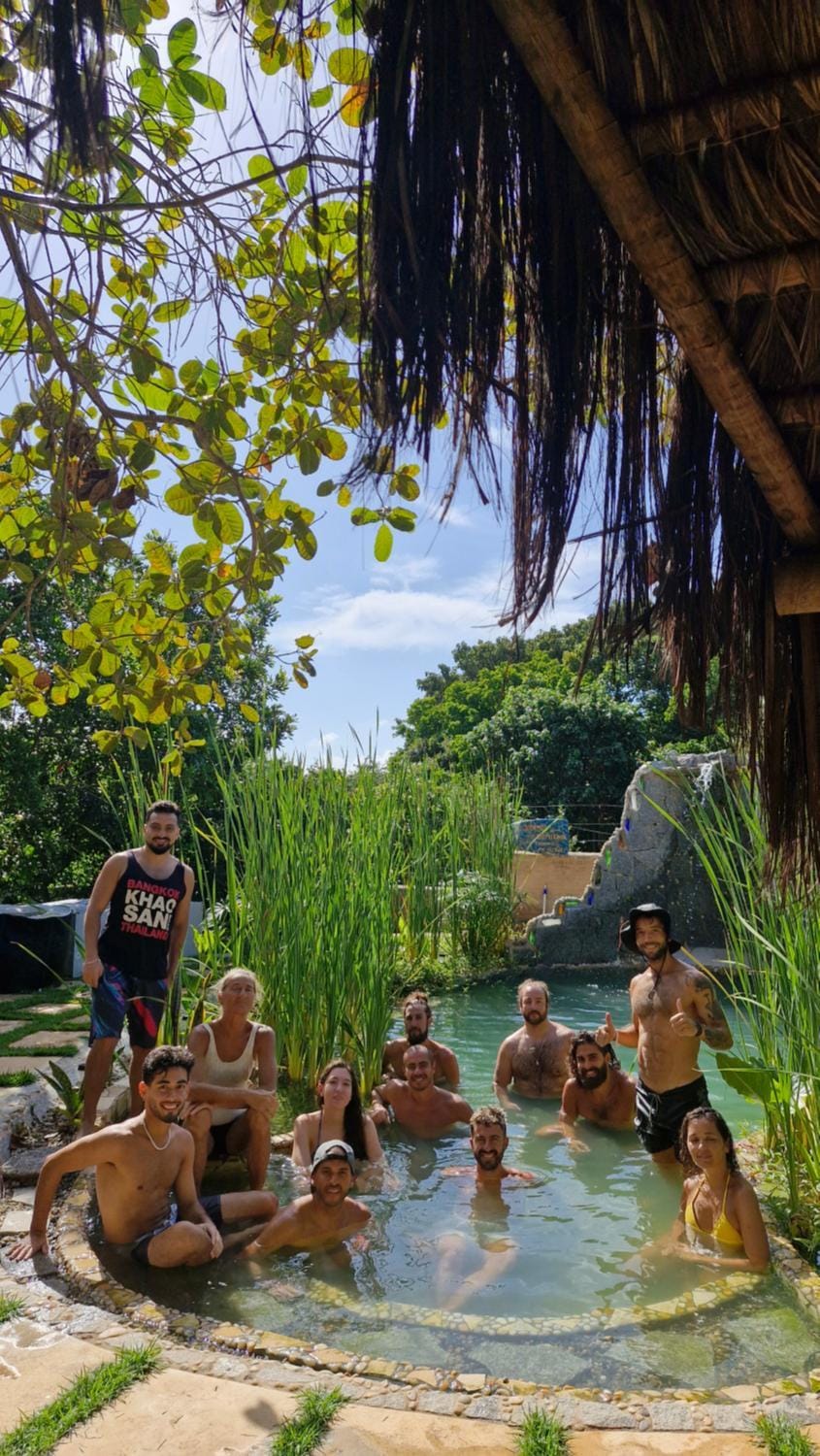 Day, Natural landscape, Garden view, Swimming pool, group of guests