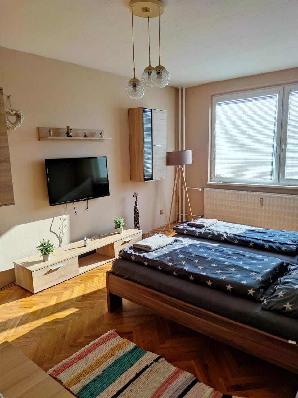 Communal lounge/ TV room, Bed, TV and multimedia, Living room, Photo of the whole room, Seating area, Bedroom