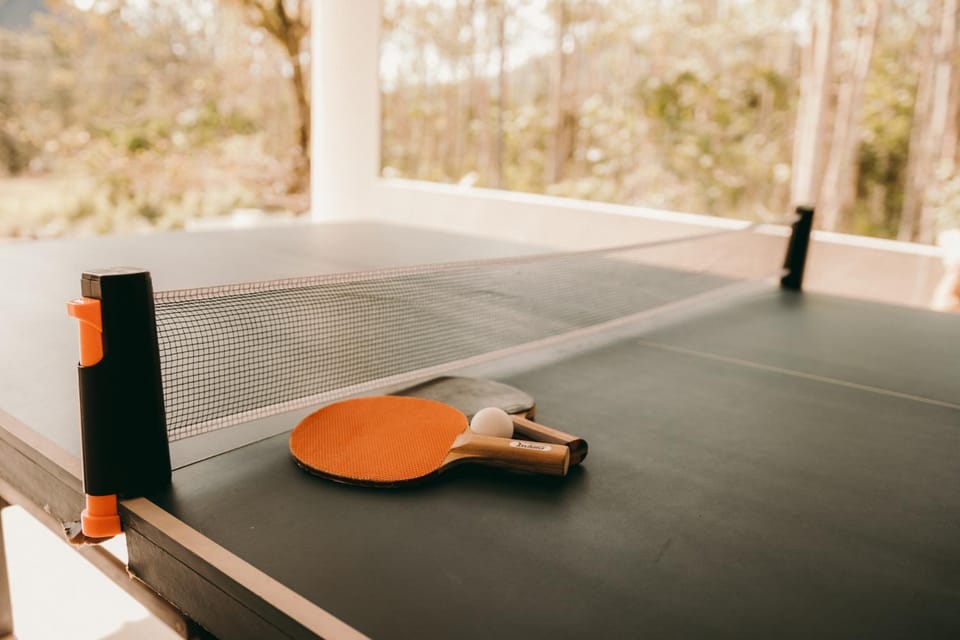 Table tennis, Table tennis