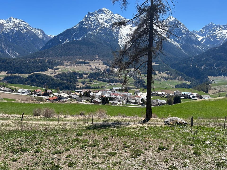Natural landscape