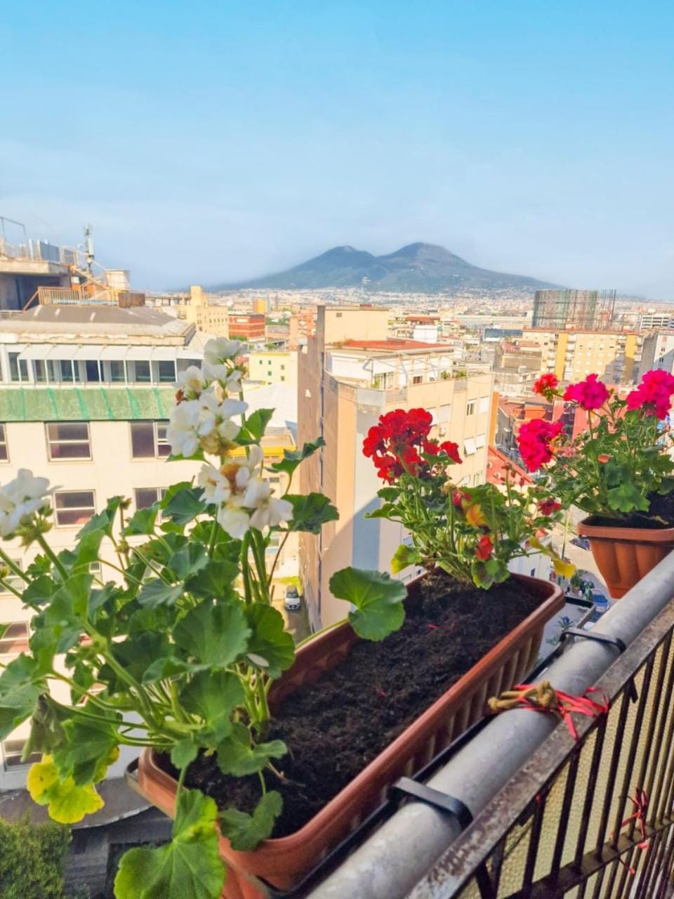 Nearby landmark, Natural landscape, View (from property/room), Balcony/Terrace, City view