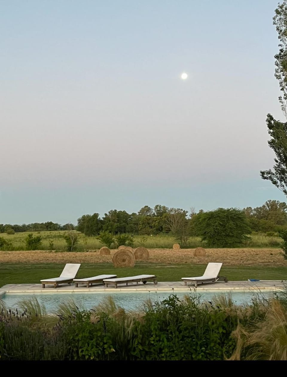 Natural landscape, Swimming pool