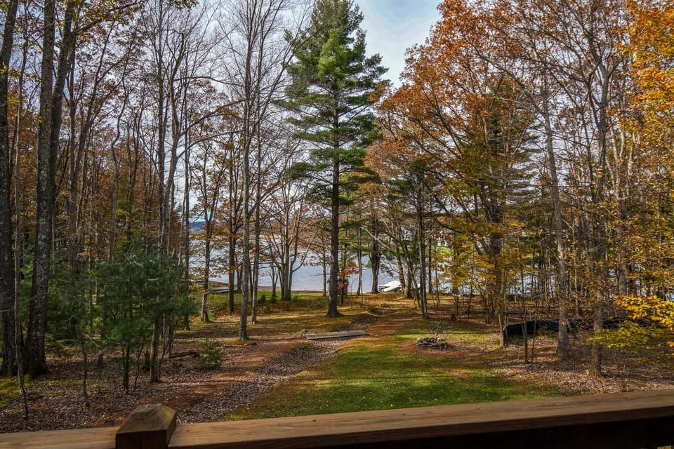 Natural landscape, Garden, View (from property/room), Lake view