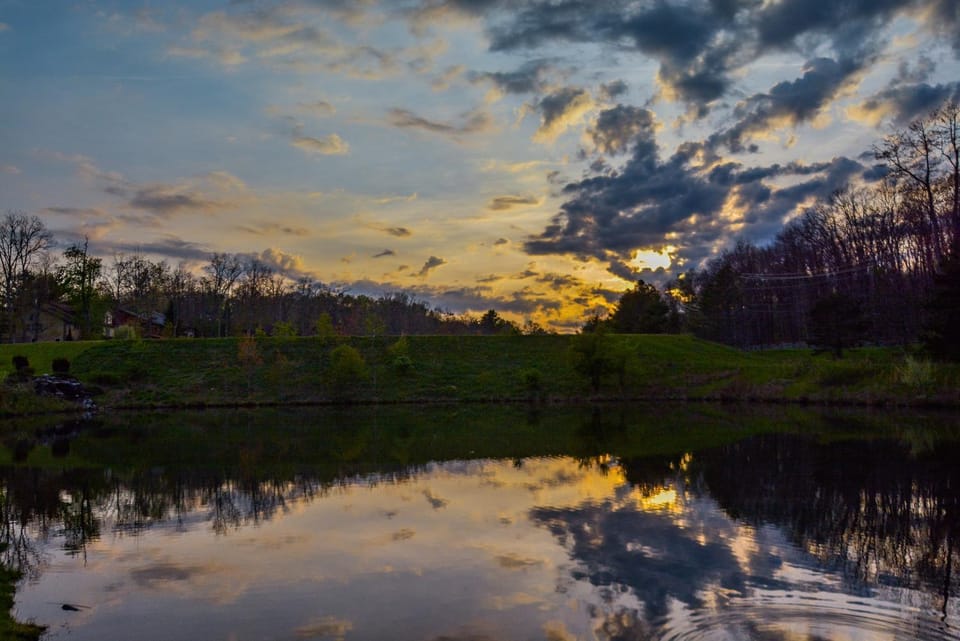 Natural landscape, Garden, Sunset