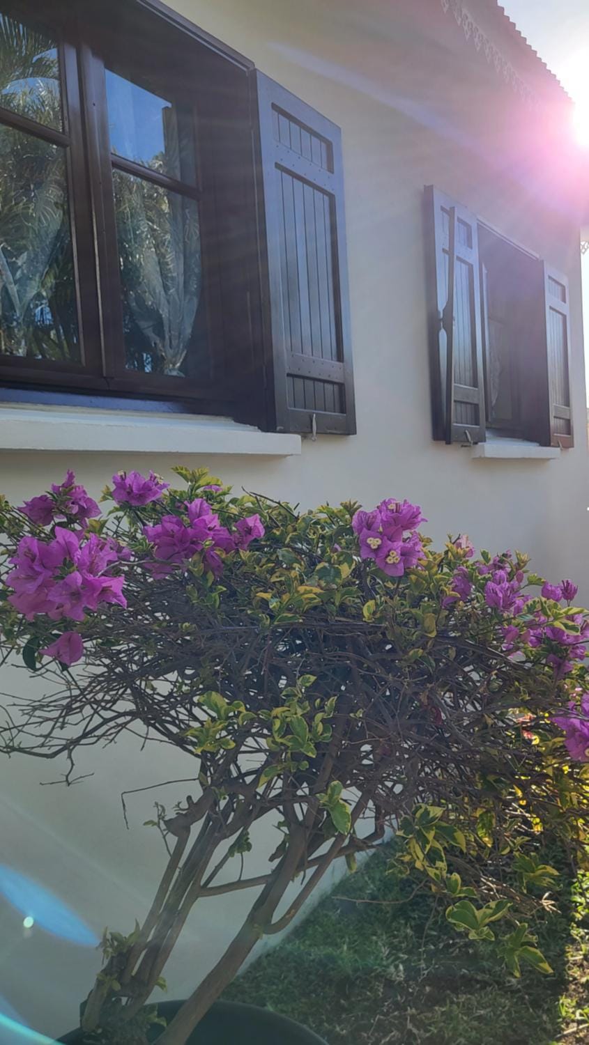 Villa Creole alamanda 2 Villa in Réunion