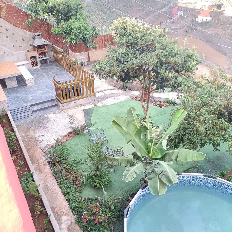 Spring, Day, Garden, Garden view, Pool view, Swimming pool