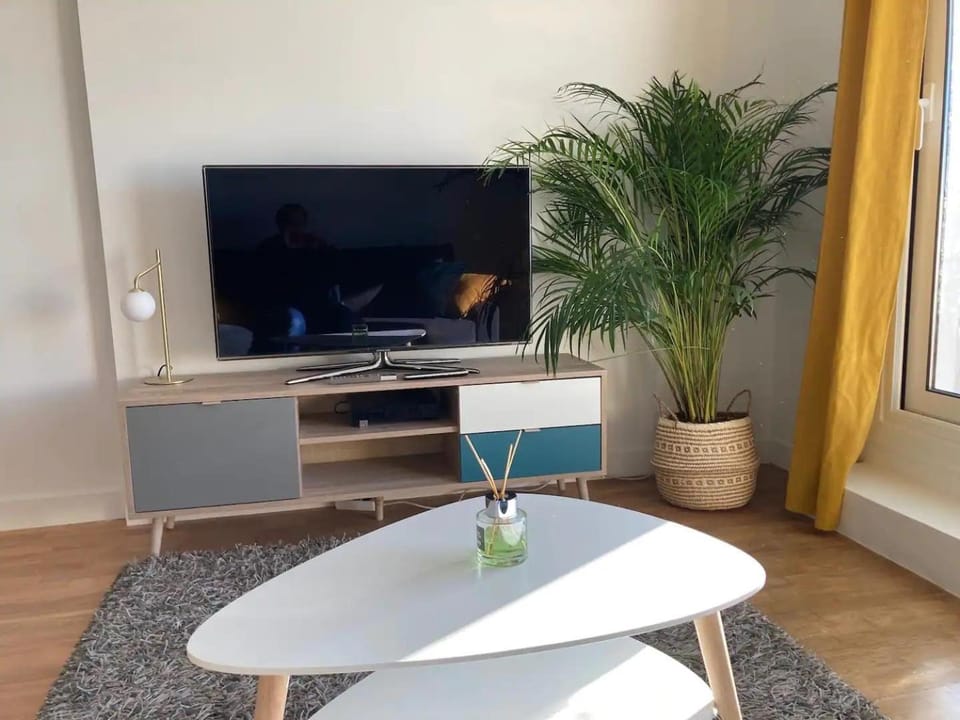 TV and multimedia