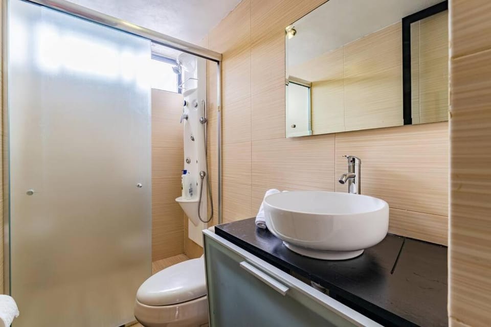 Stylish apartment with private roof top & jacuzzi Apartment in Mexico City