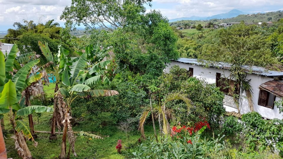 Garden, Garden view, Mountain view