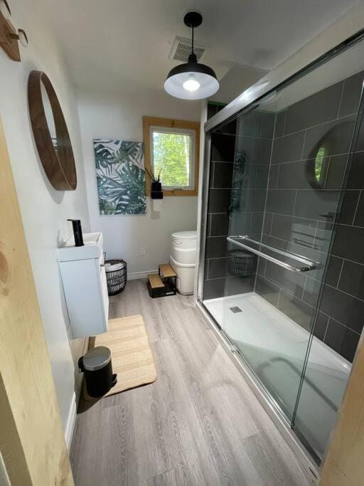 Shower, Toilet, Bathroom, towels
