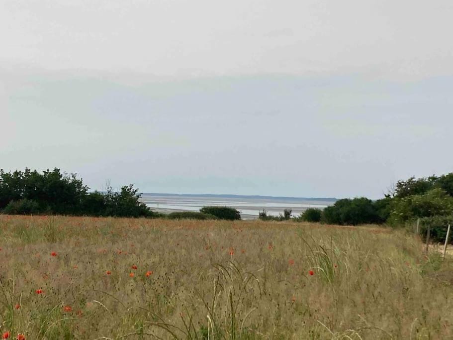 Natural landscape, Sea view
