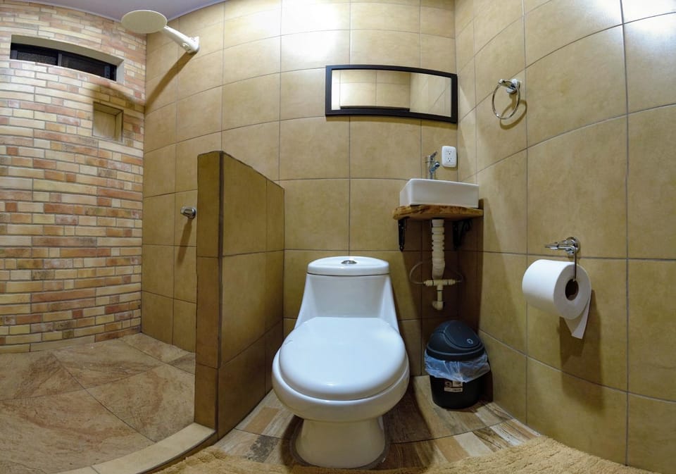 Toilet, Bathroom