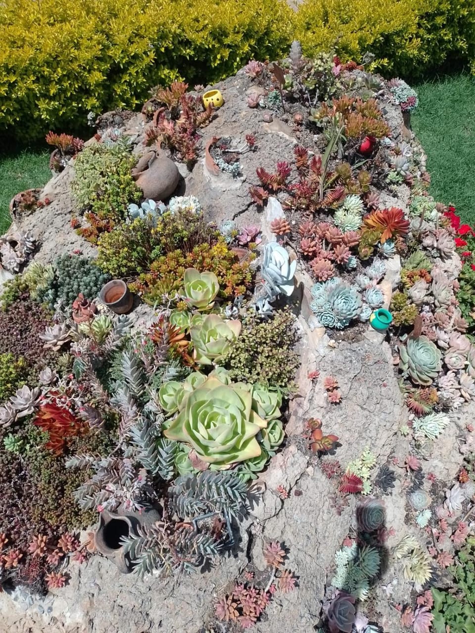CABAÑA LOS JUANES House in Cundinamarca, Colombia