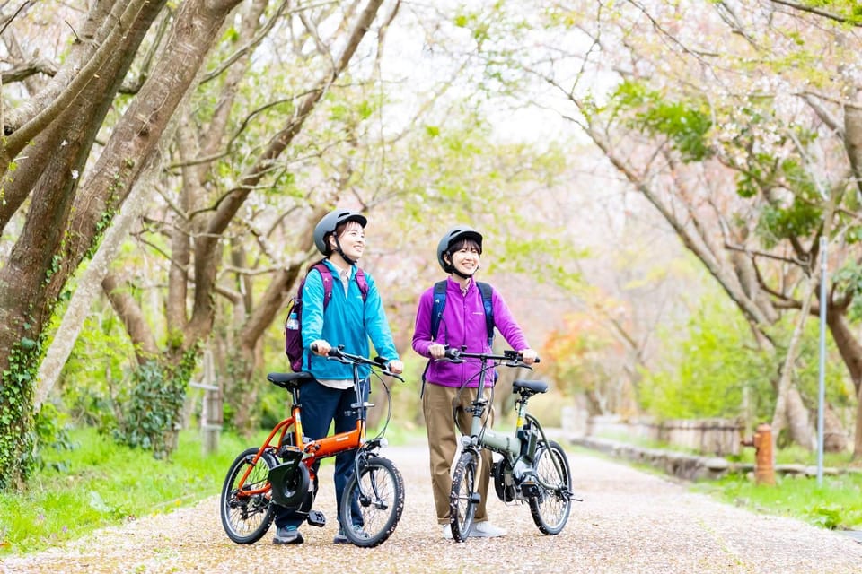 Natural landscape, Cycling