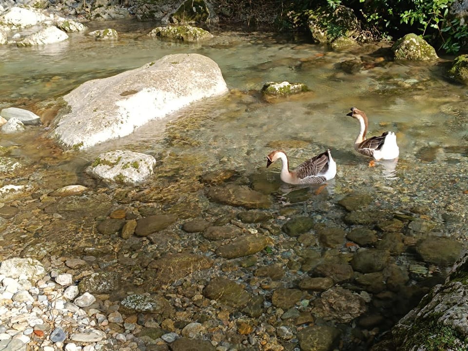 B&B Candalla Bed and Breakfast in Camaiore