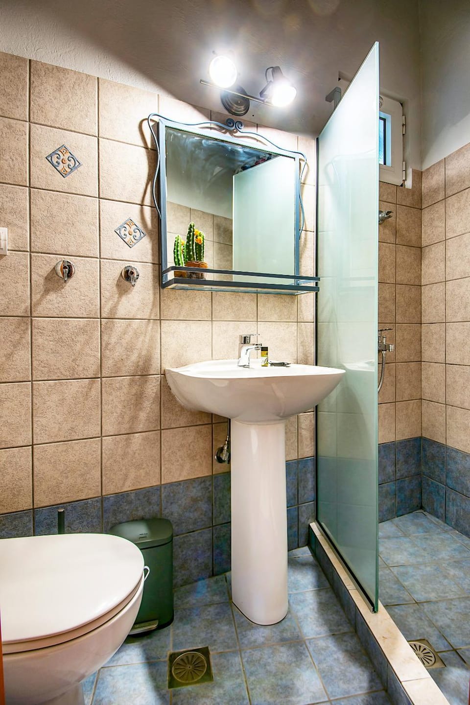 Shower, Toilet